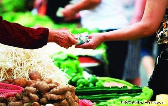 帝沃系列菠菜批发市场