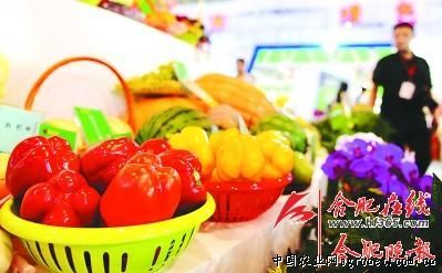 天津市区县冬季蔬菜生产增收