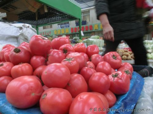 浙江淳安县食用菌产品有了“绿色标签”