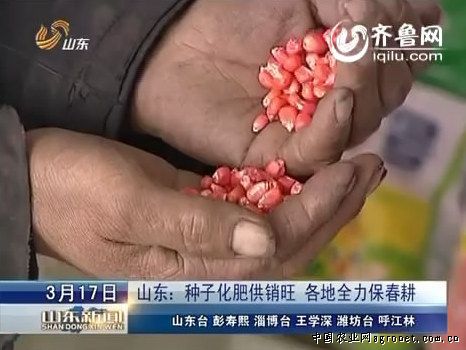 熊猫笋种植技术