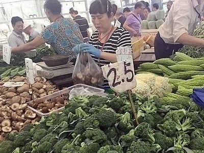 兴蔬蜜本南瓜品种图片